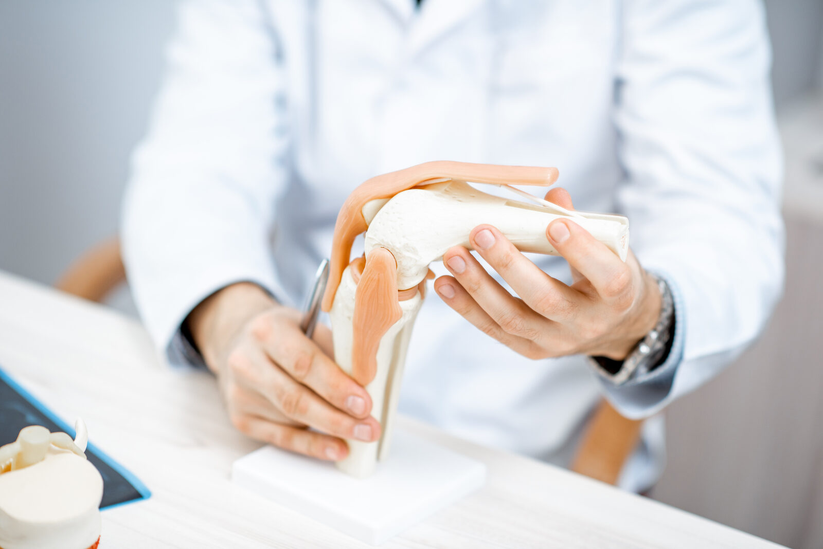 A clinician explaining knee anatomy using an anatomical model